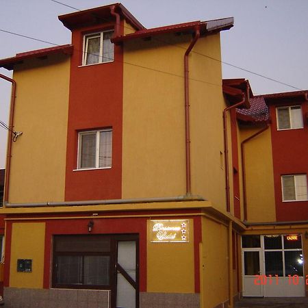 Pensiunea Vladut Timisoara Exterior photo