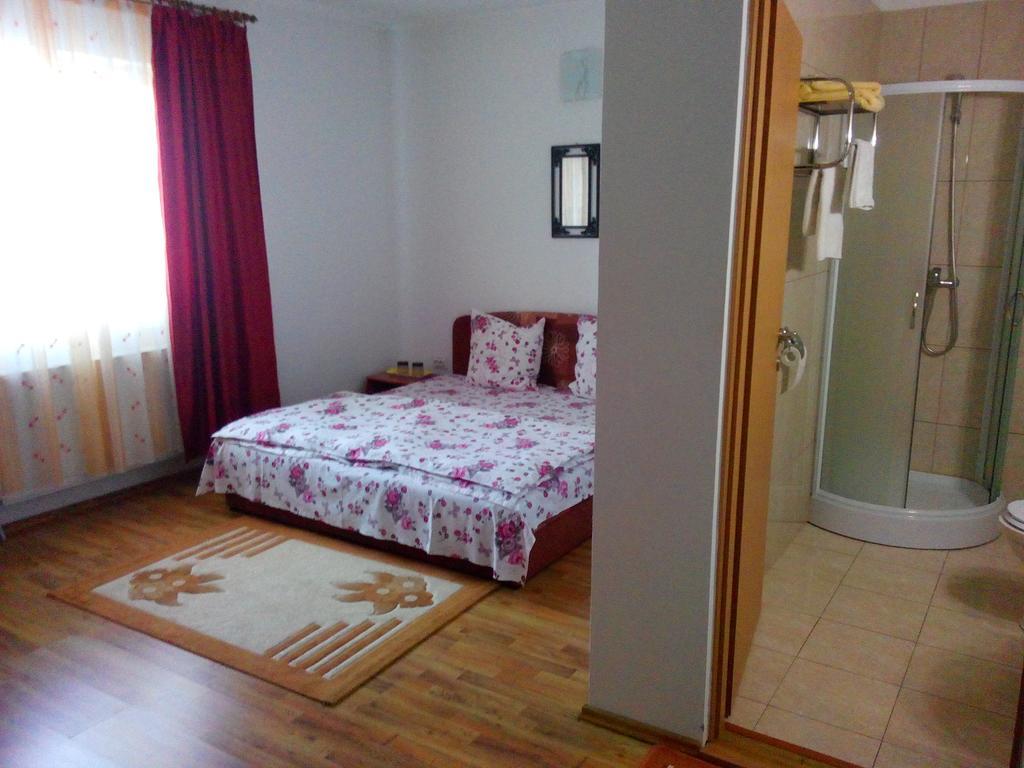Pensiunea Vladut Timisoara Room photo